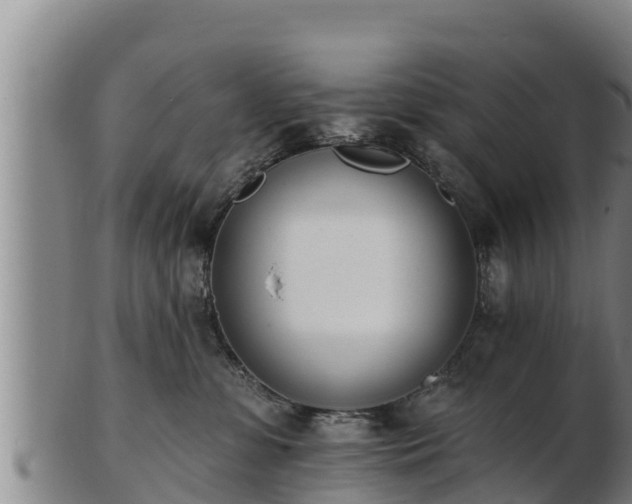 X0000103230331200809041030