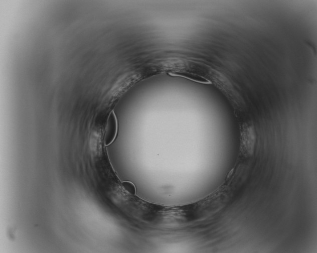 X0000103230333200809041030