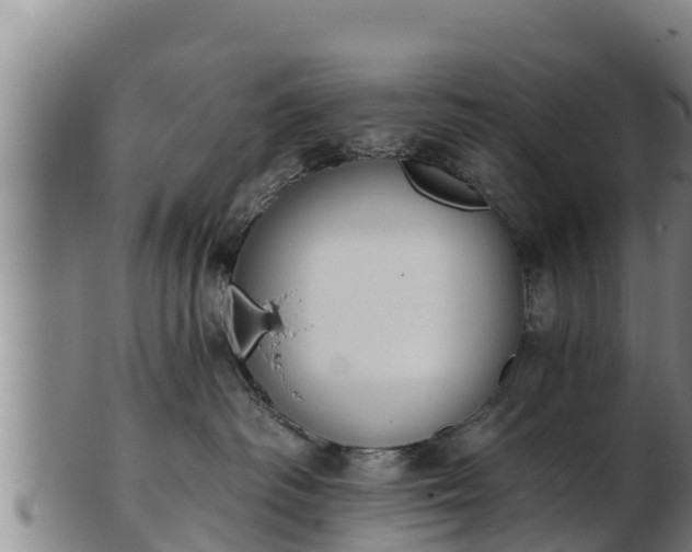 X0000103230334200809041030