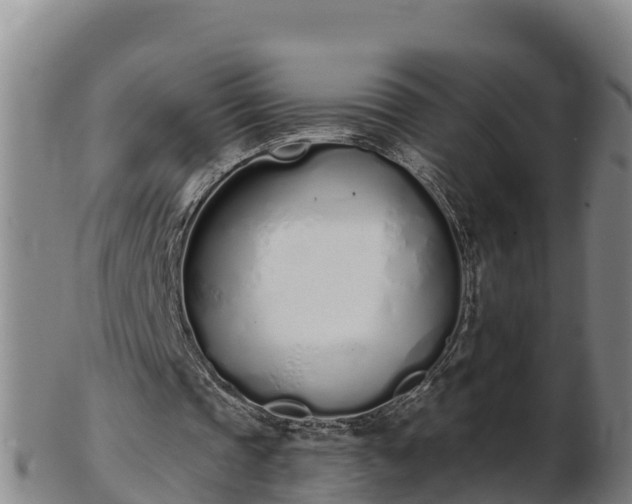 X0000103230337200809041029