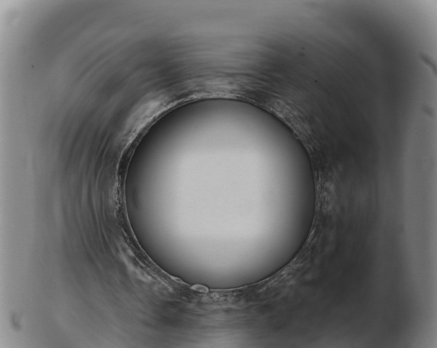 X0000103230338200809041029