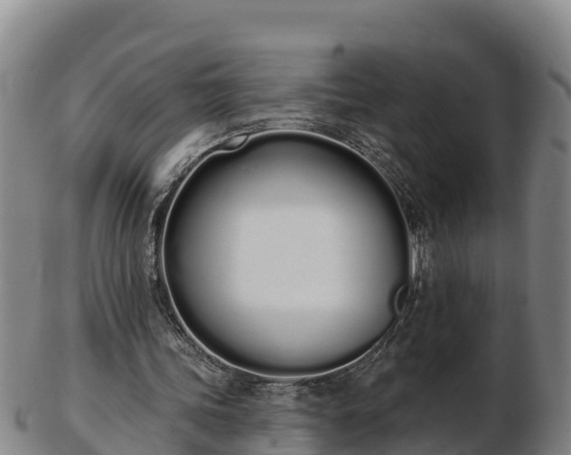 X0000103230339200809041029