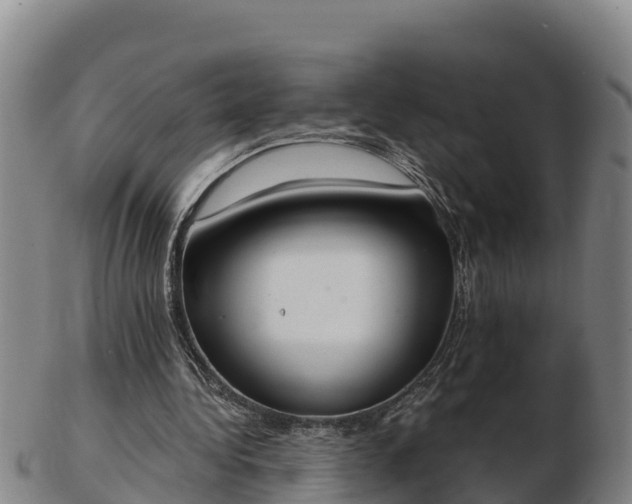 X0000103230340200809041029