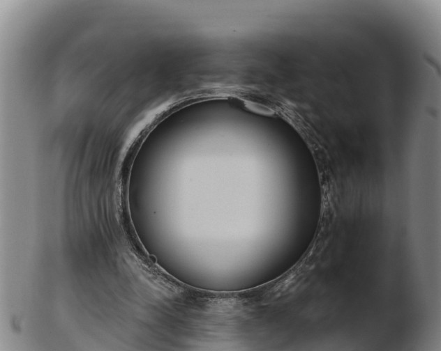 X0000103230342200809041029