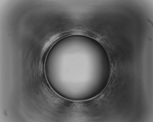 X0000103230343200809041029