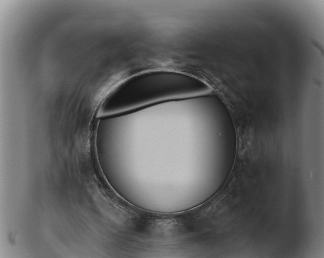X0000103230344200809041029