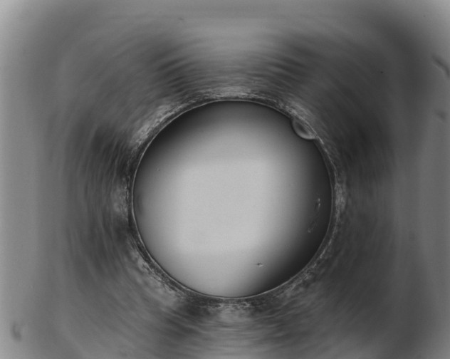 X0000103230345200809041029