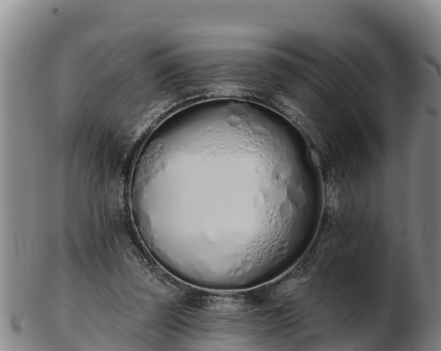 X0000103230347200809041029