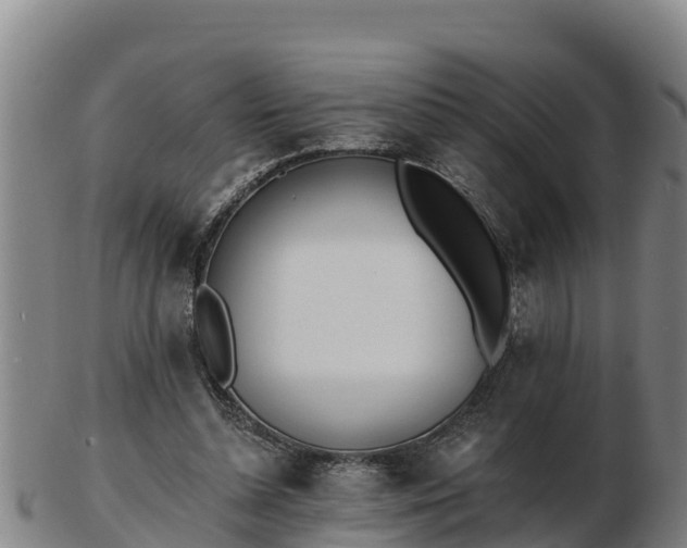 X0000103230348200809041029