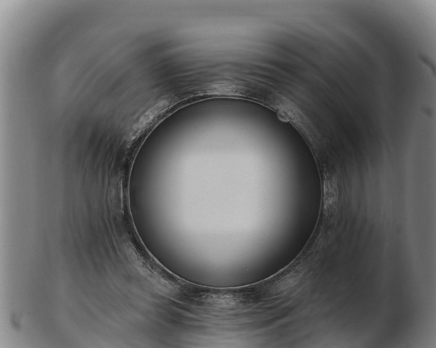 X0000103230349200809041029