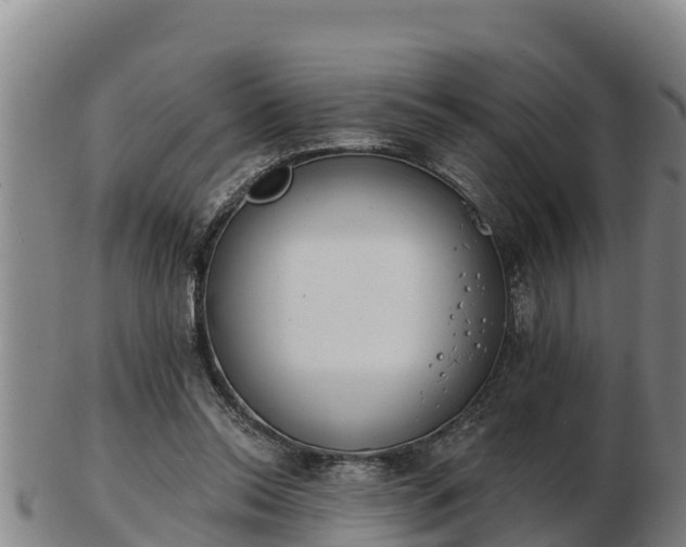 X0000103230350200809041030