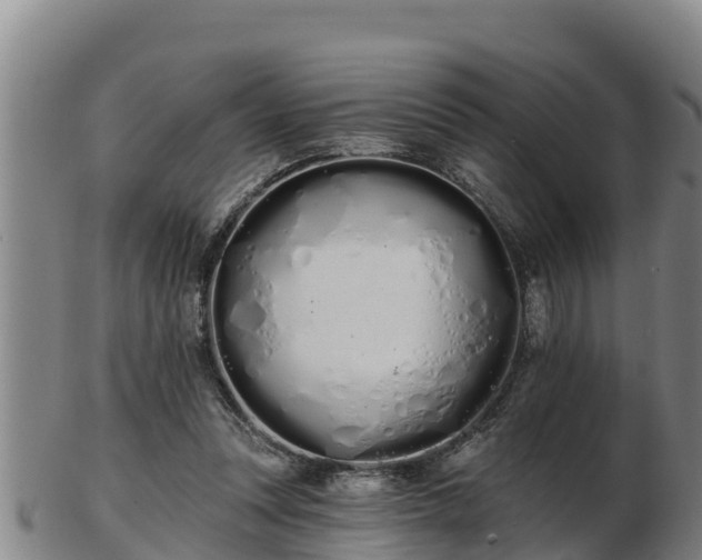 X0000103230351200809041030