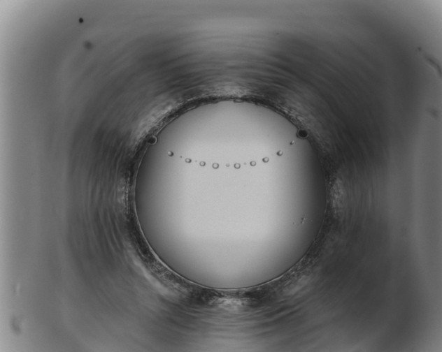 X0000103230352200809041030