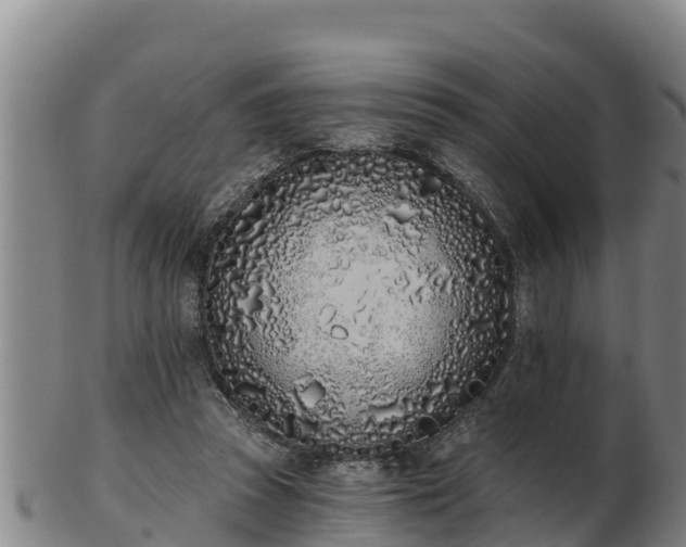 X0000103230353200809041030
