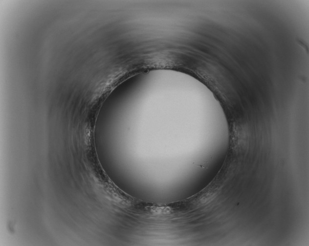 X0000103230355200809041030