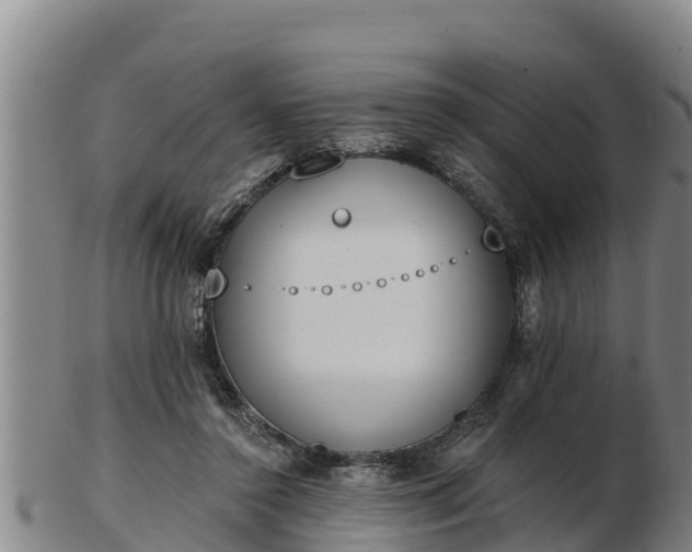 X0000103230356200809041030