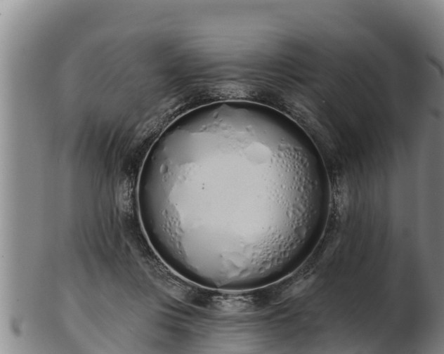 X0000103230359200809041030