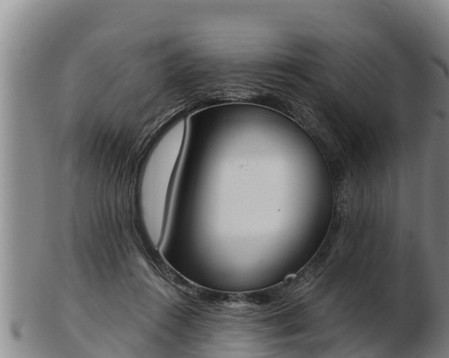 X0000103230360200809041030