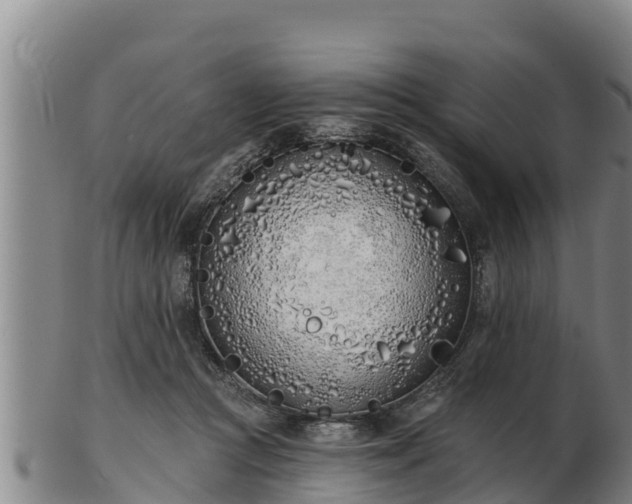 X0000103230361200809041030