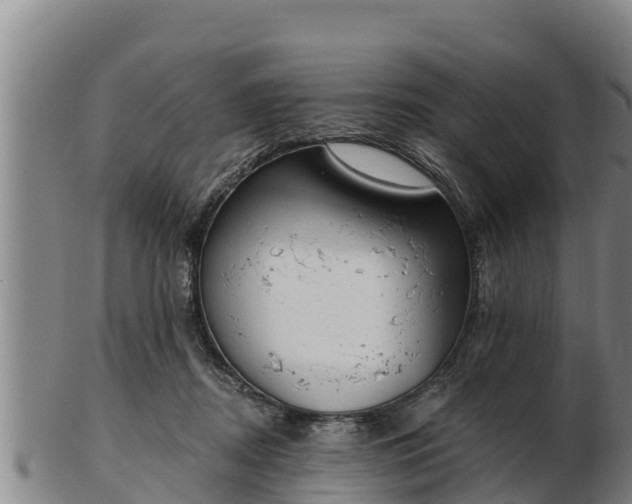 X0000103230362200809041030