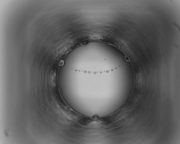 X0000103230364200809041030