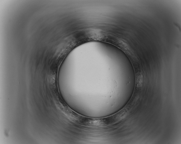 X0000103230365200809041030