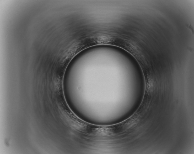 X0000103230367200809041030