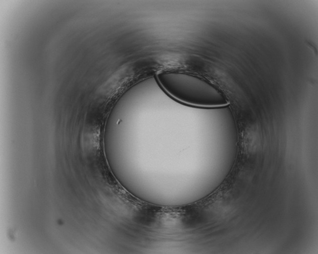 X0000103230368200809041030