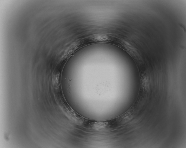 X0000103230373200809041030