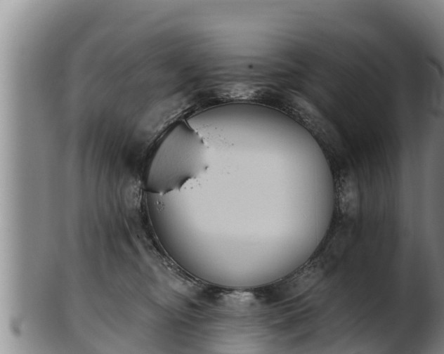 X0000103230374200809041030