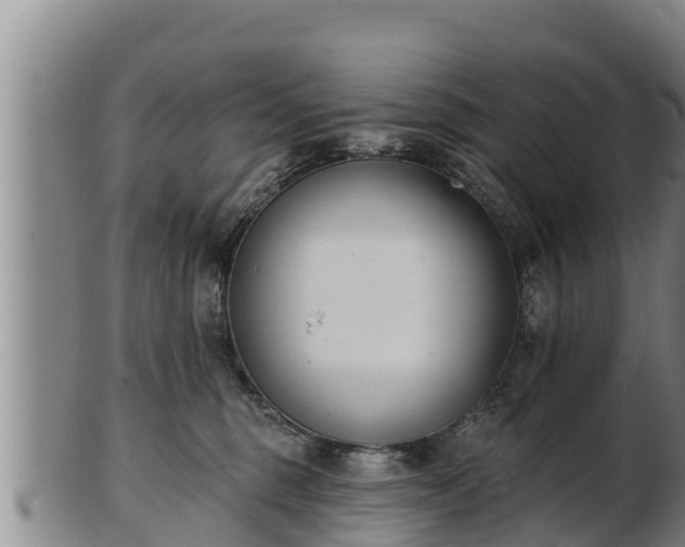 X0000103230375200809041030