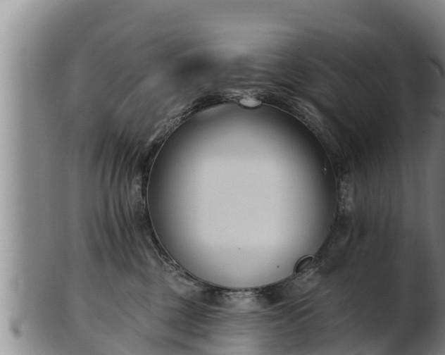 X0000103230377200809041030