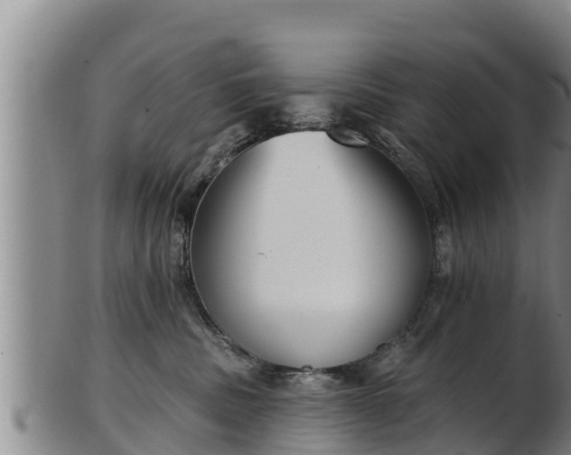X0000103230379200809041030