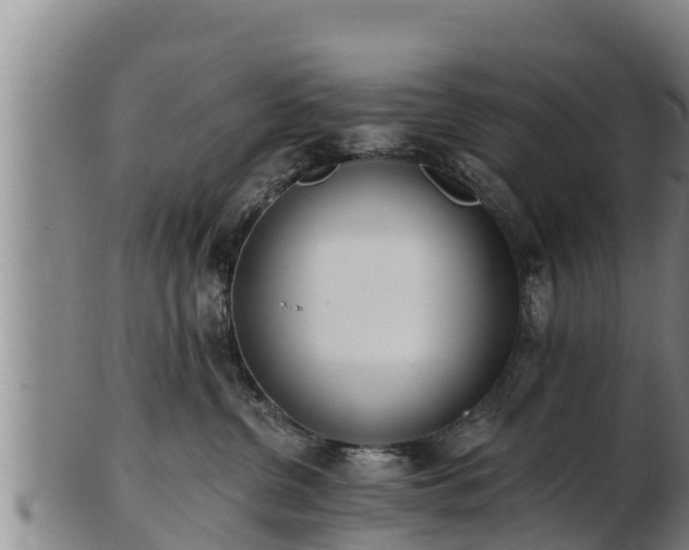 X0000103230380200809041030