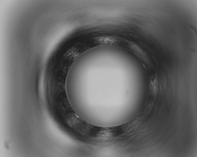 X0000103230381200809041030