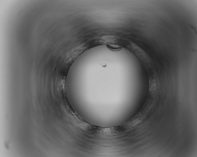 X0000103230382200809041030