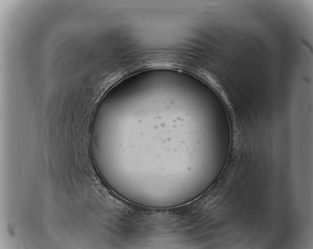 X0000103230385200809041029