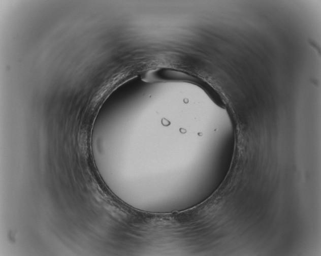 X0000103230386200809041029