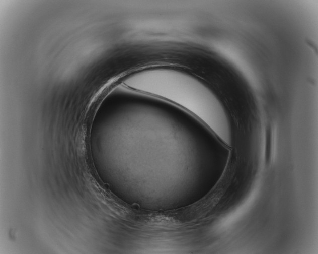 X0000103230387200809041029