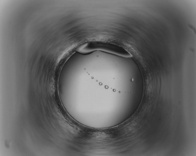 X0000103230392200809041029