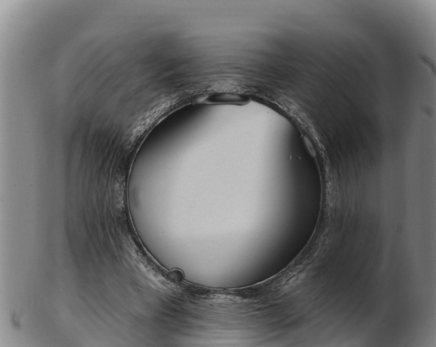 X0000103230393200809041029