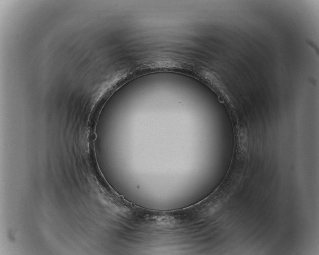 X0000103230395200809041029