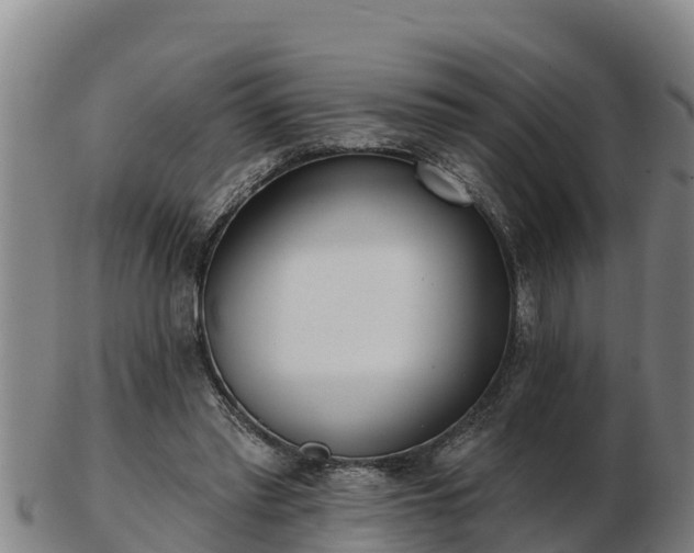 X0000103230397200809041029
