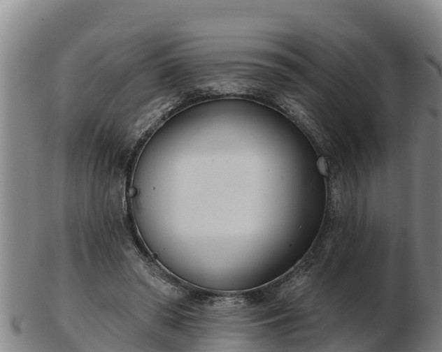 X0000103230398200809041029