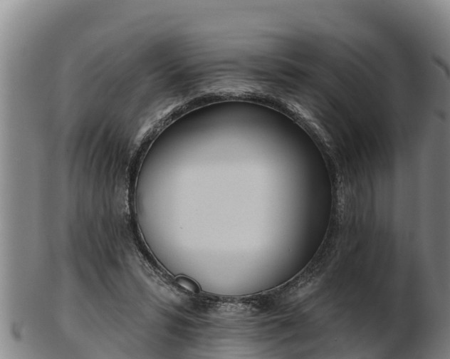 X0000103230399200809041029