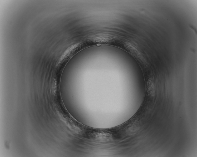 X0000103230400200809041029