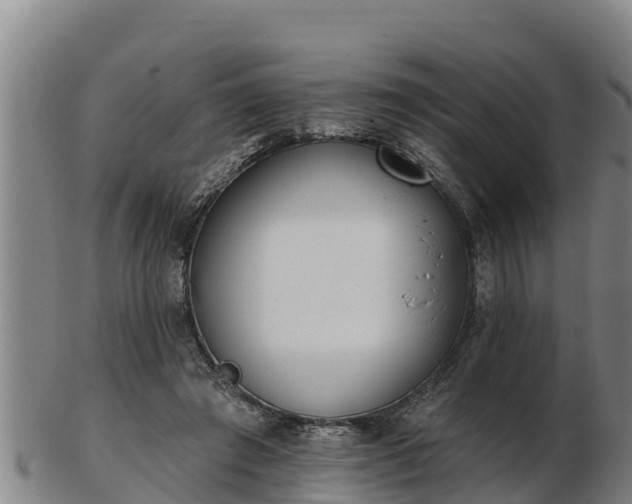 X0000103230401200809041029