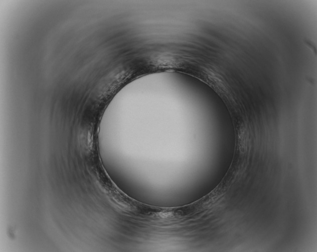 X0000103230406200809041029