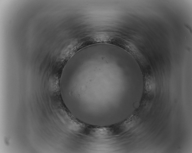 X0000103230411200809041029