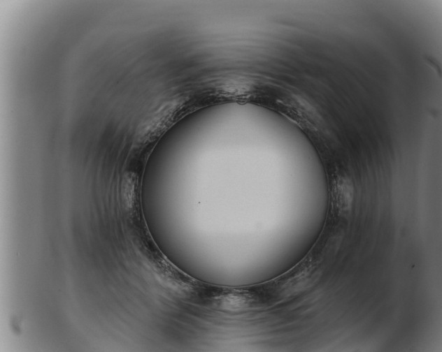 X0000103230412200809041029